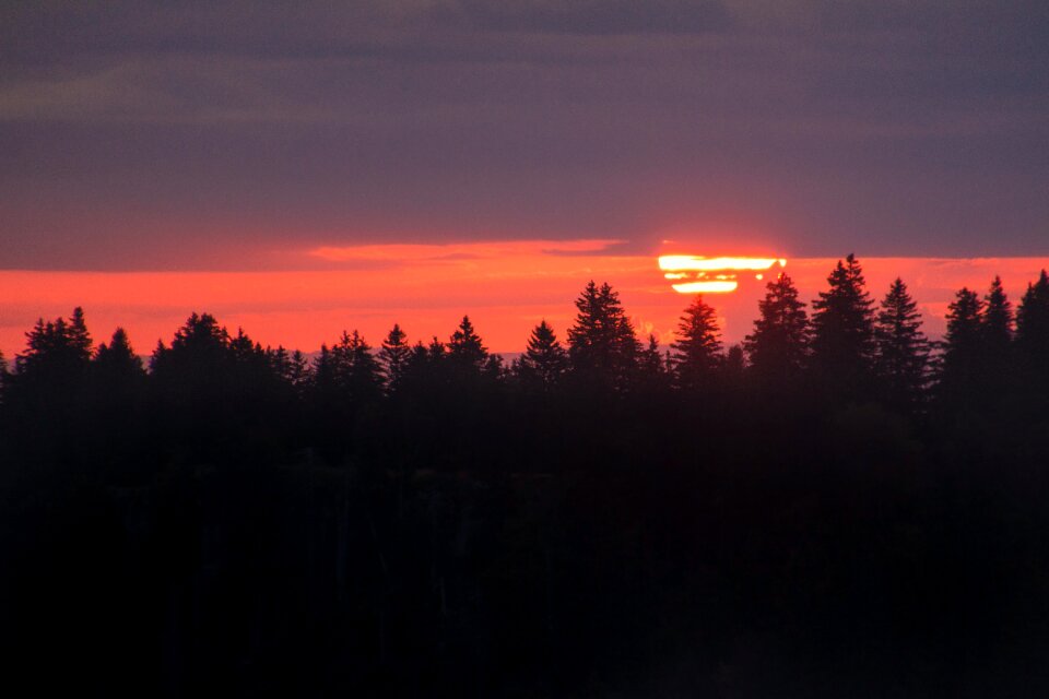 Silhouettes nordic sunset