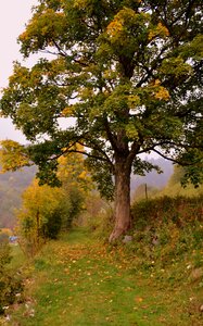 Excursion nature mountain