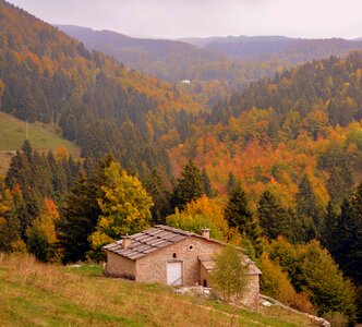 Trees landscape mountain photo