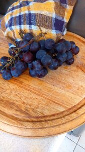 The plot garden fruit