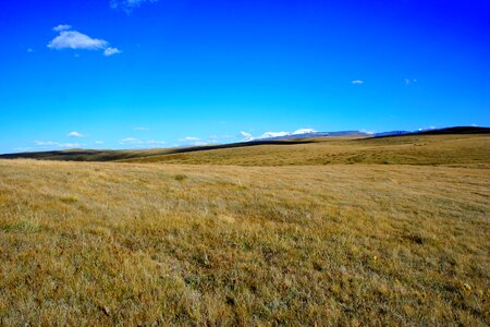 Ukok altai cordinal bass