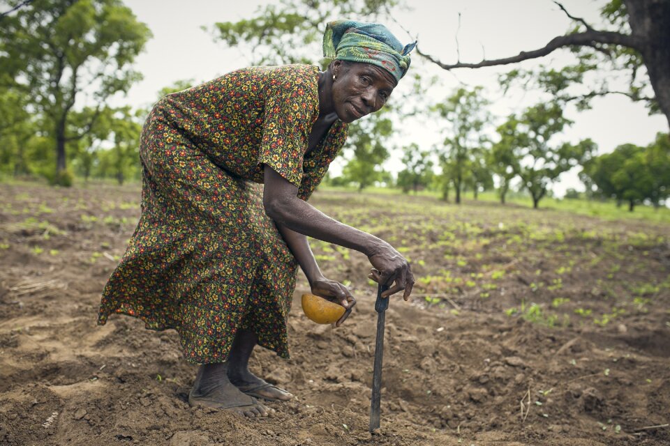 A woman on farm planting brown farmer
