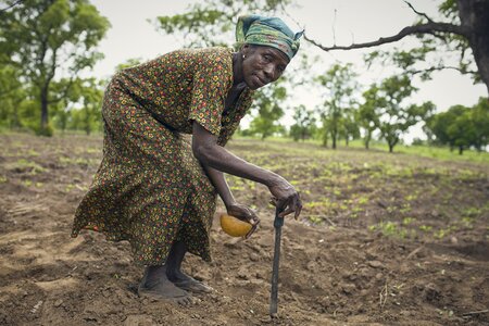 A woman on farm planting brown farmer
