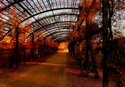 Torino piemonte italy photo