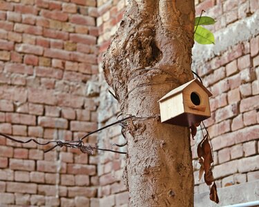 Protection wood birdhouse photo