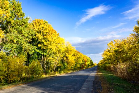 Paint road landscape