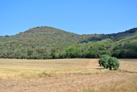 Hills landscape green photo