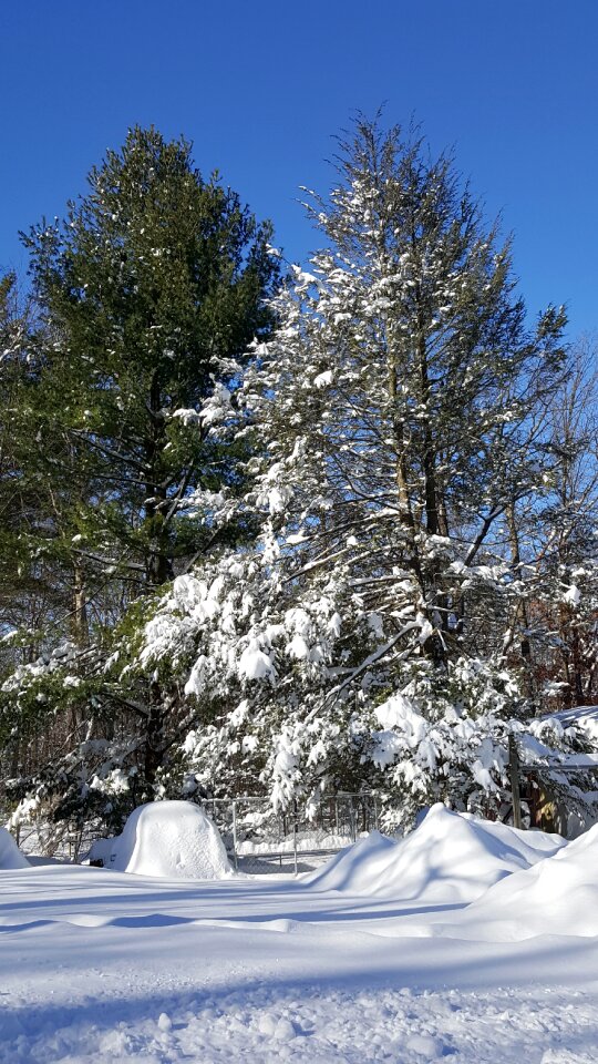 Landscape white outdoor