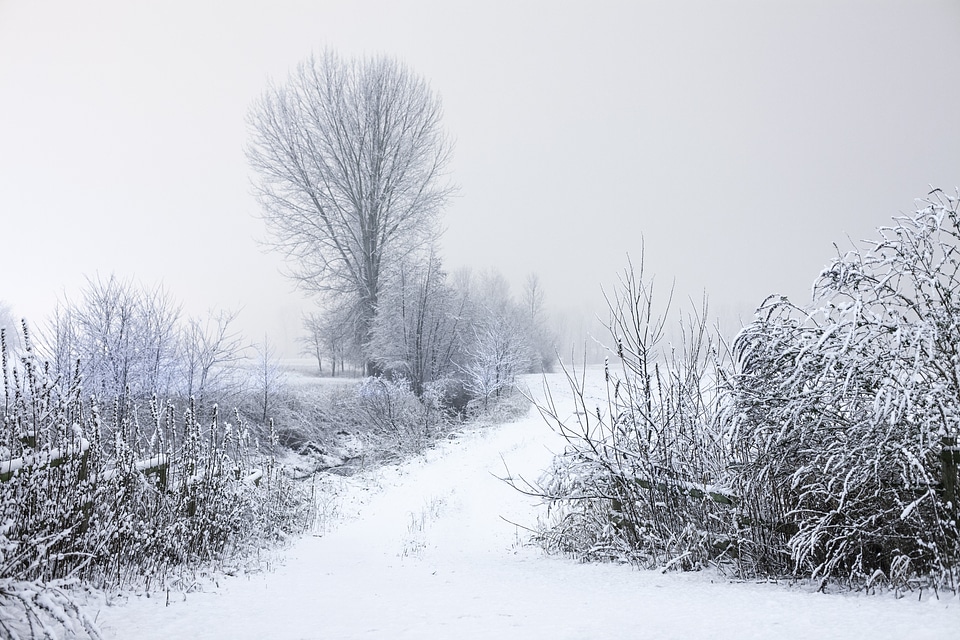 Road snow winter