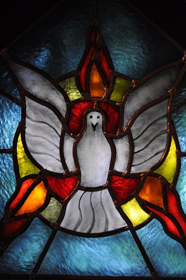 Dove church stained glass window