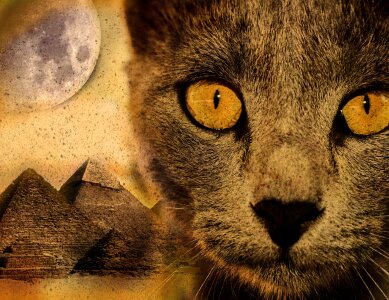 Desert sand imagination