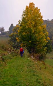 Walk trekking the european path