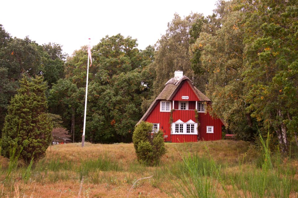 Red denmark natural
