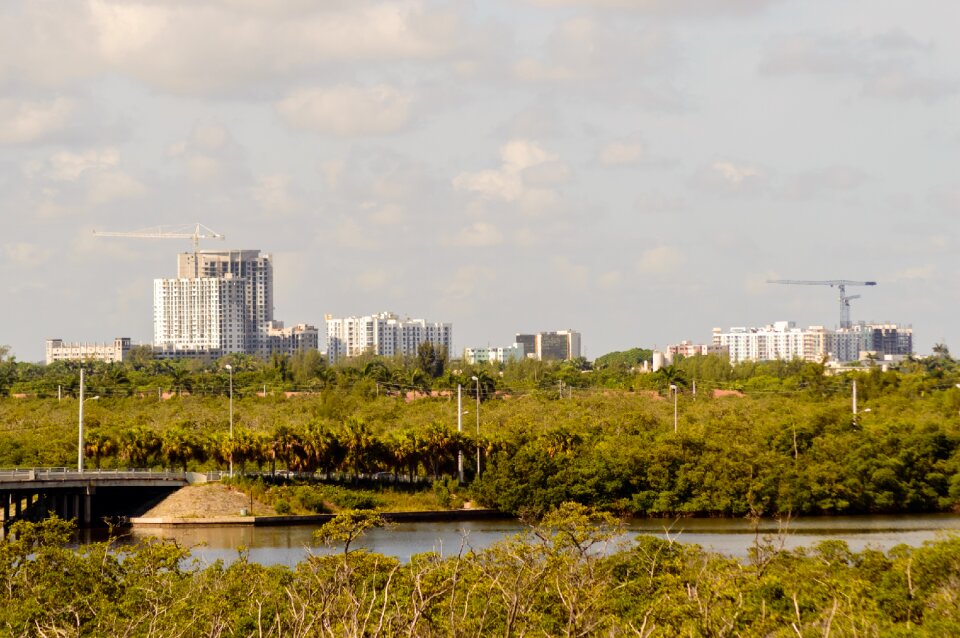 Skyline building scape