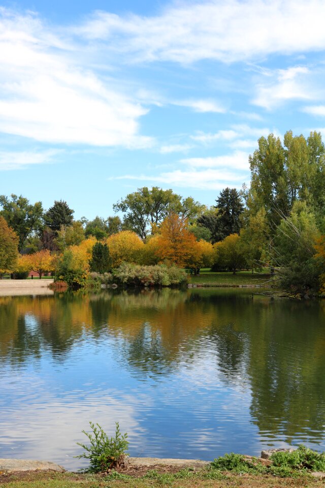 Weld county park trees