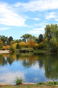 Weld county park trees