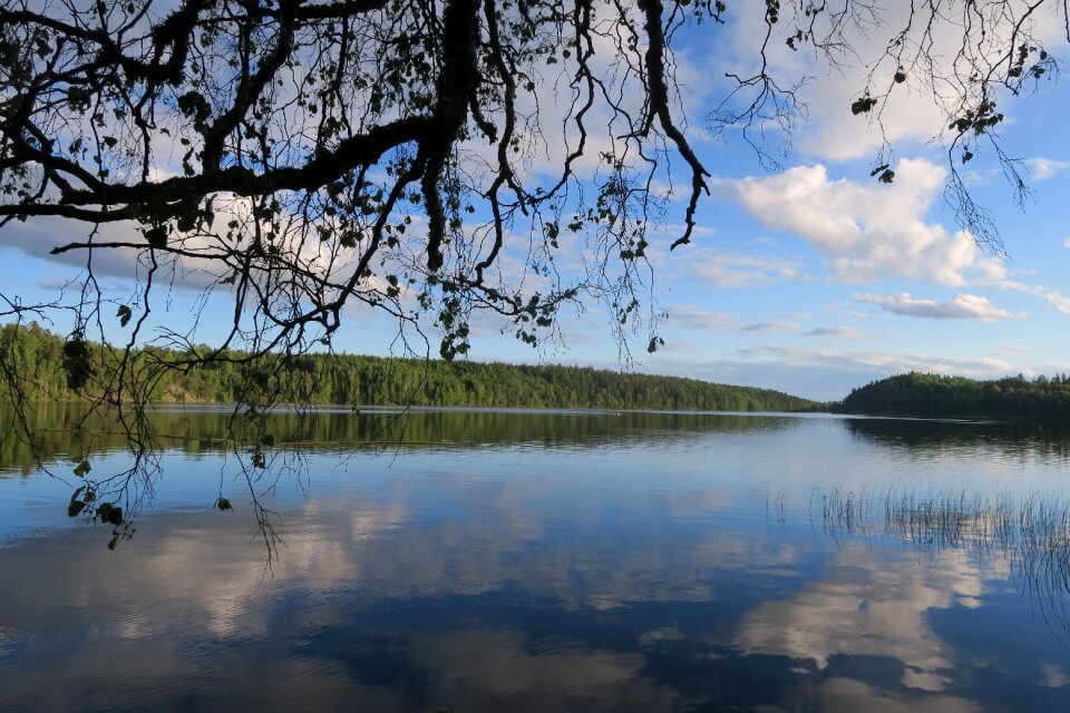 Sweden lake landscape photo