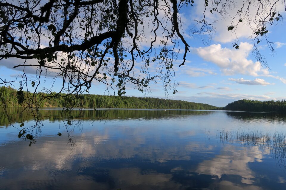 Sweden lake landscape