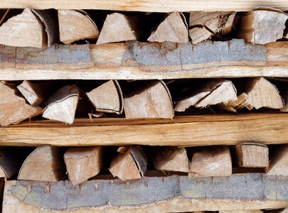 Cut wood sawn log photo