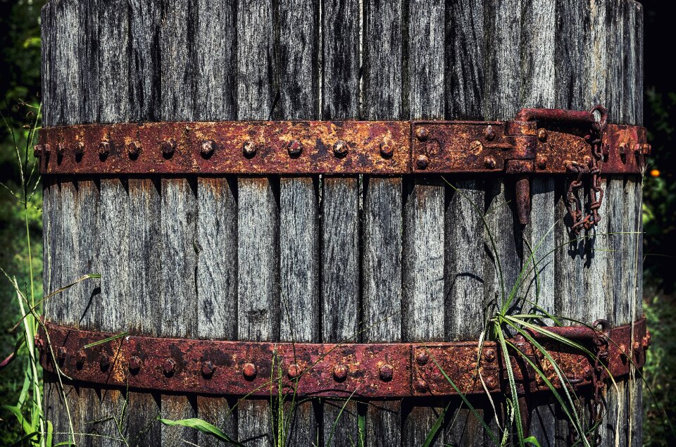 Dirty fence grass
