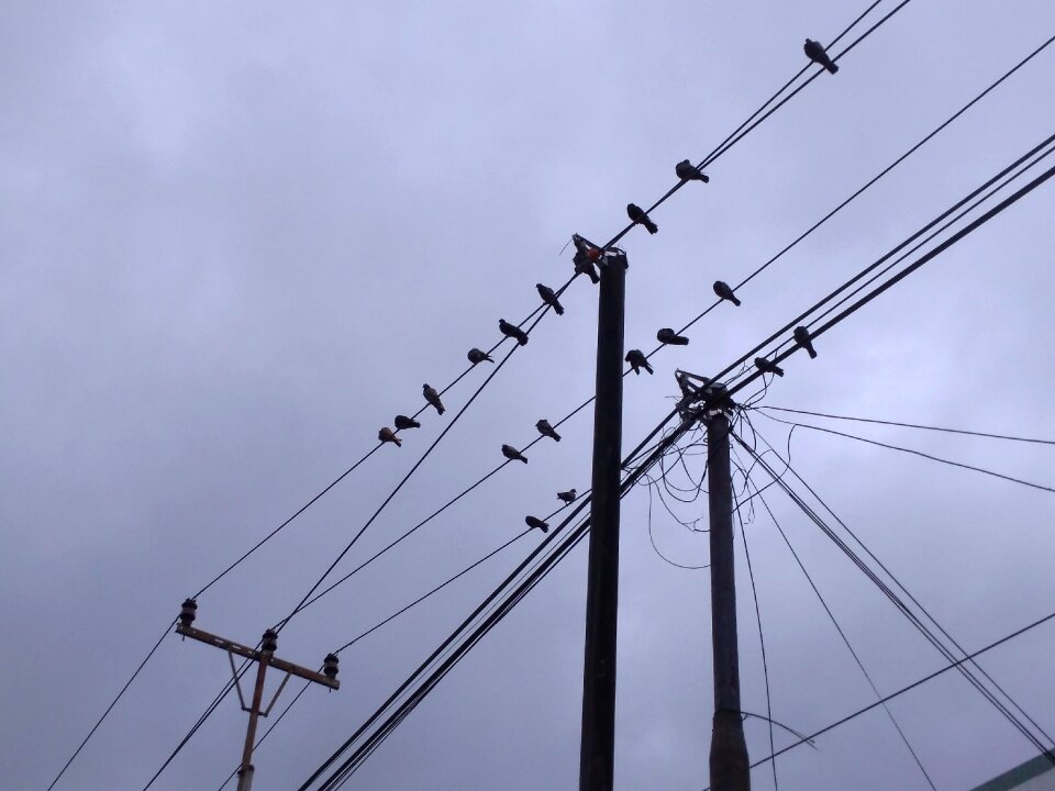 Electric cable high