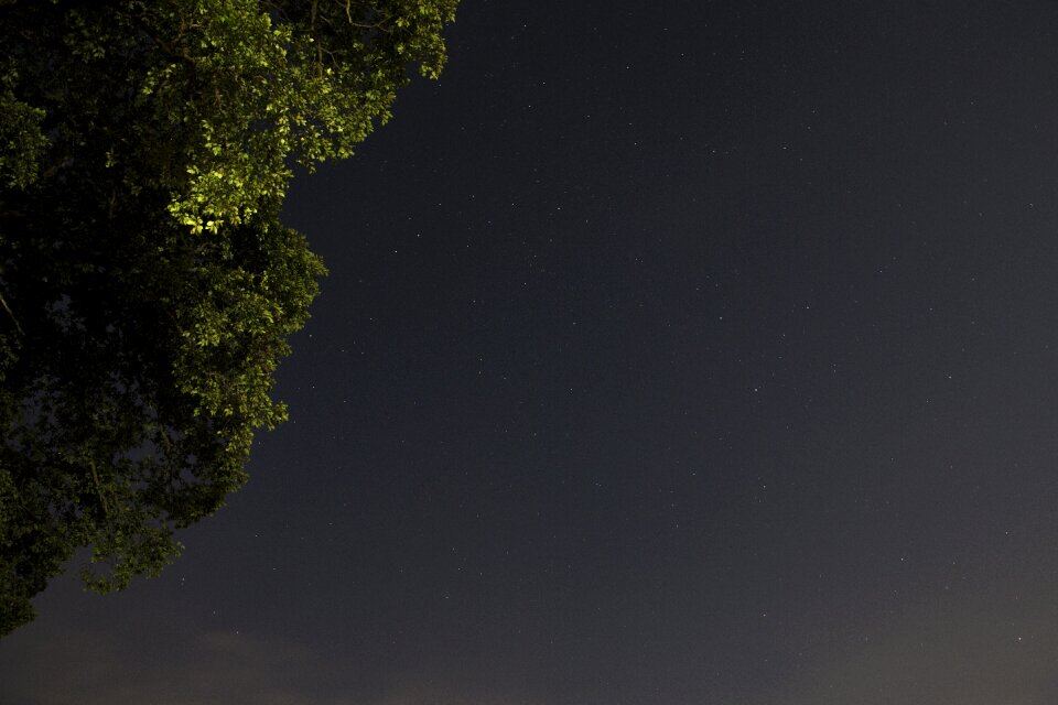 Night starlight shiny