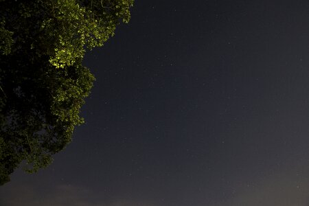 Night starlight shiny