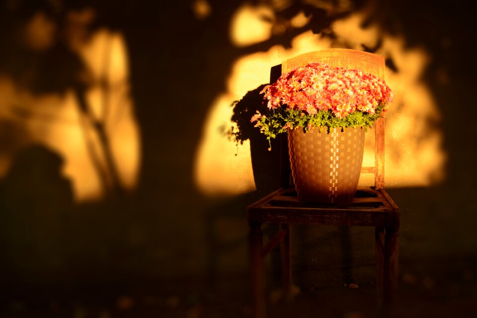 Nature floral green