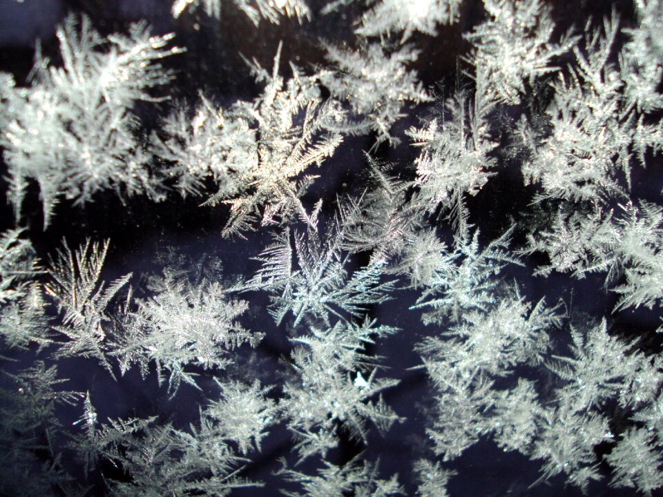 Cold eiskristalle frost