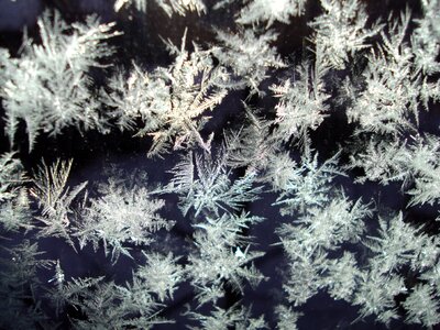 Cold eiskristalle frost