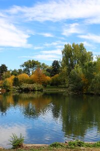 Weld county park trees