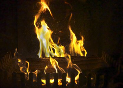 Flame wood fireplace photo