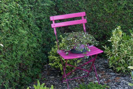 Garden chair still life