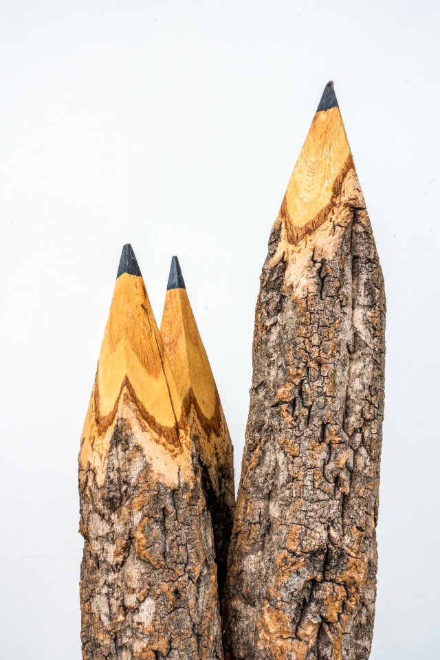 Study vertical wood
