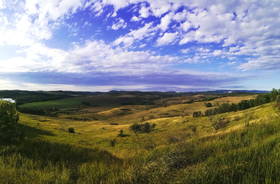 Summer nature field photo