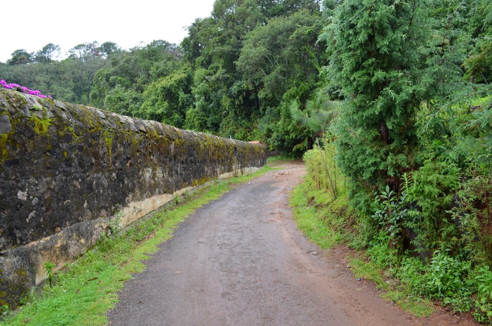 Nature direction pathway photo