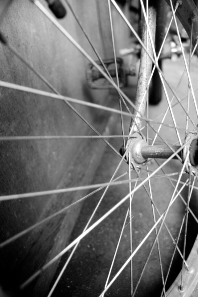 Biking wheel cycle