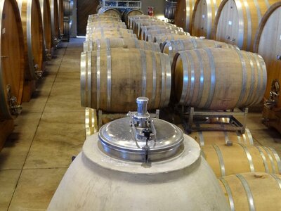 Winery cellar photo