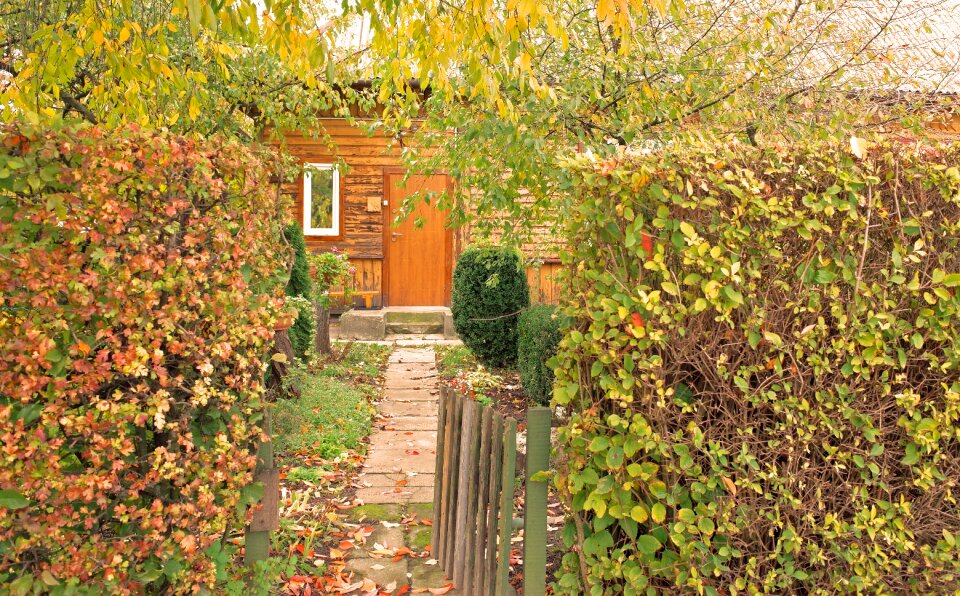 Plants house nature