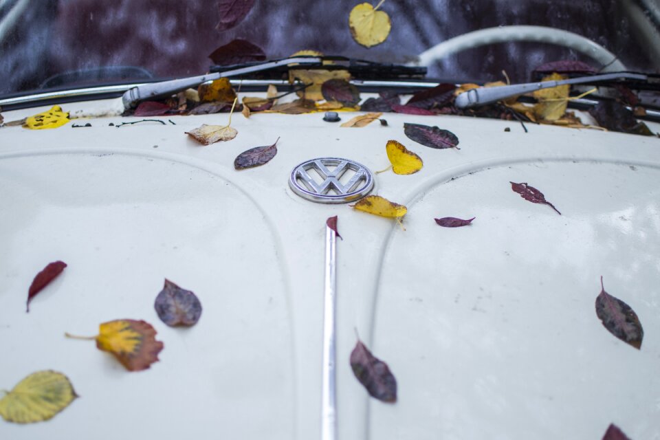 Green symbol volkswagen