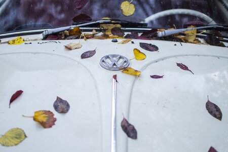 Green symbol volkswagen