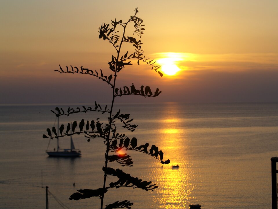 Sunsets summer sea