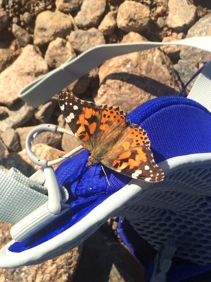 Outdoor hiking