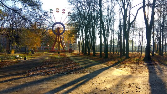 Park morning shadow photo