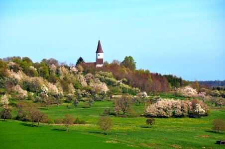 Berg alsace orchard