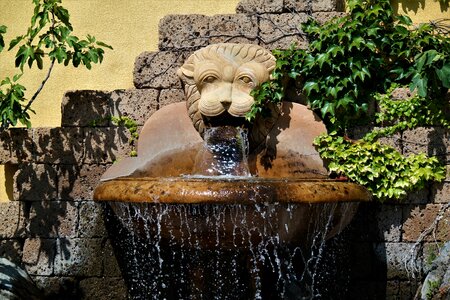 Water feature wet lion head photo