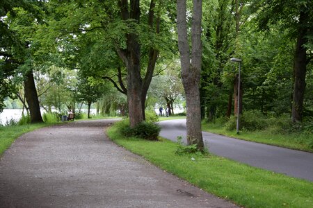 Nature leaf hiking photo