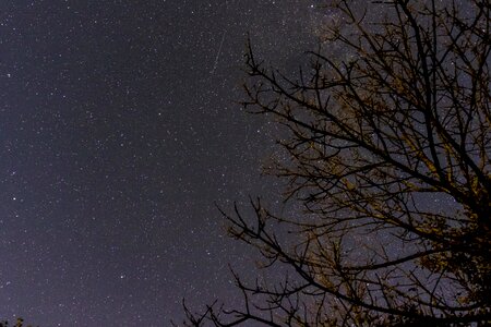 Night sky dark universe