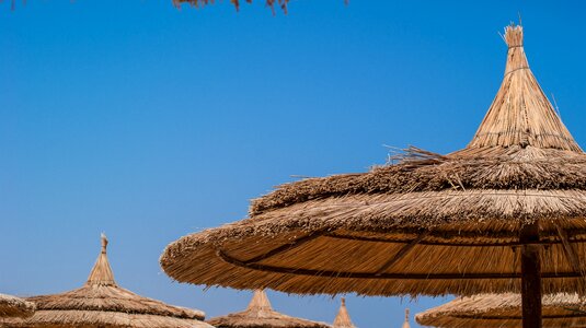 Sunny rest tanning photo