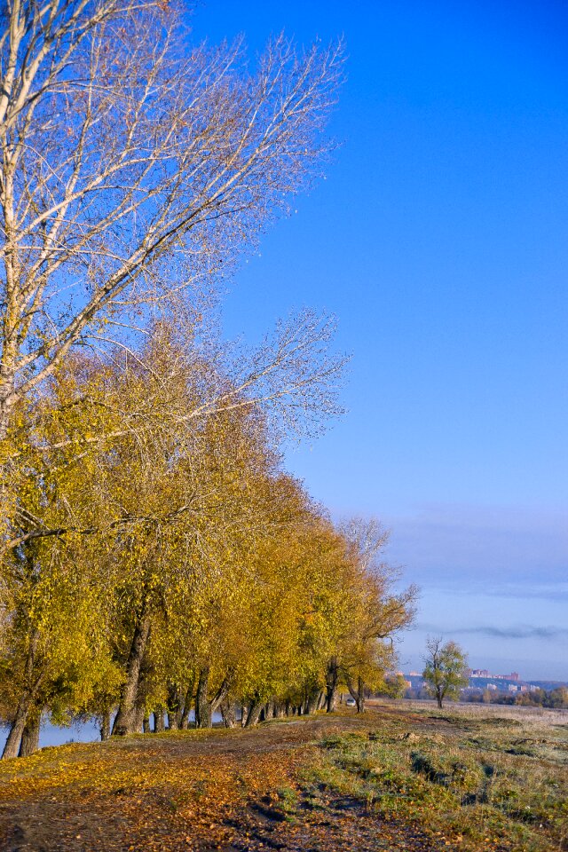 Morning landscape nature
